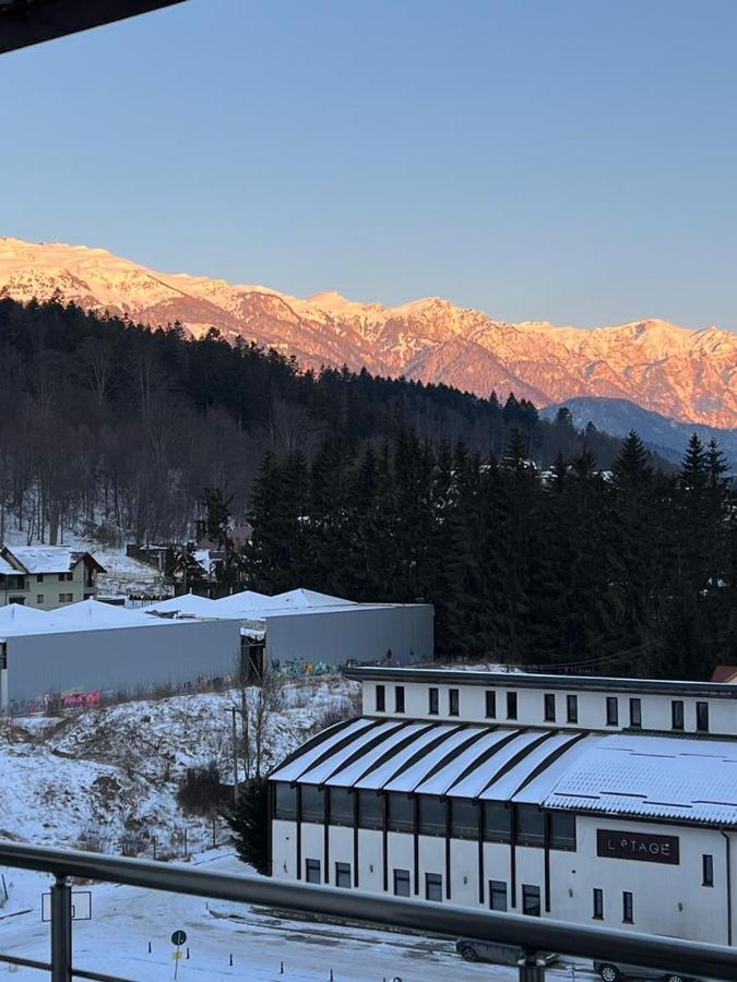 Coca Apart Mountain View Σινάια Εξωτερικό φωτογραφία