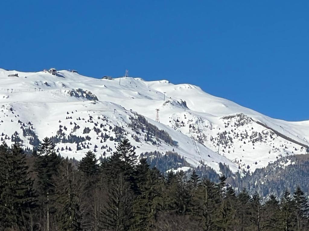 Coca Apart Mountain View Σινάια Εξωτερικό φωτογραφία