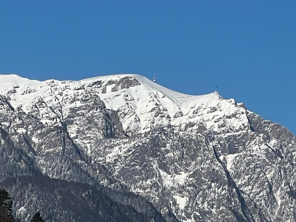 Coca Apart Mountain View Σινάια Εξωτερικό φωτογραφία