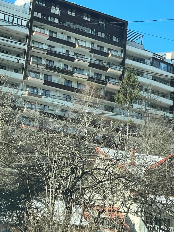 Coca Apart Mountain View Σινάια Εξωτερικό φωτογραφία