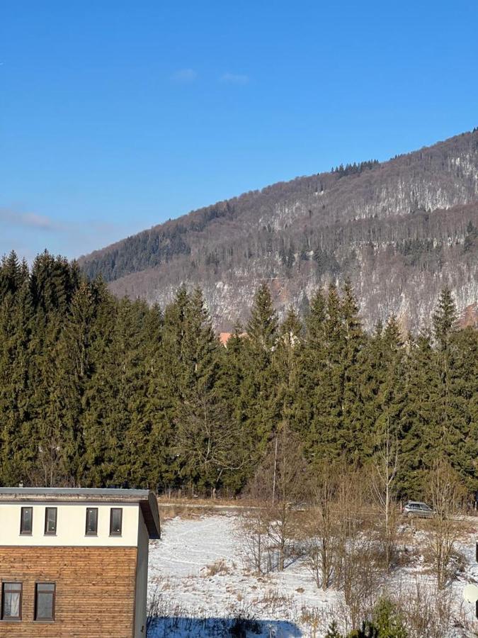 Coca Apart Mountain View Σινάια Εξωτερικό φωτογραφία
