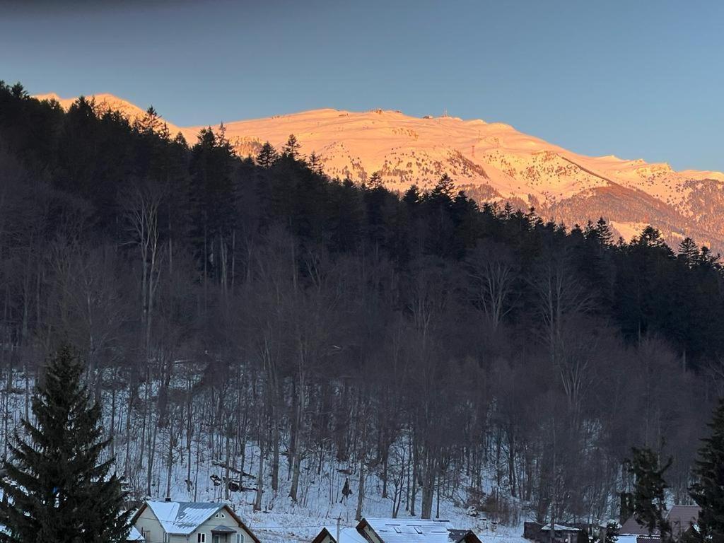 Coca Apart Mountain View Σινάια Εξωτερικό φωτογραφία