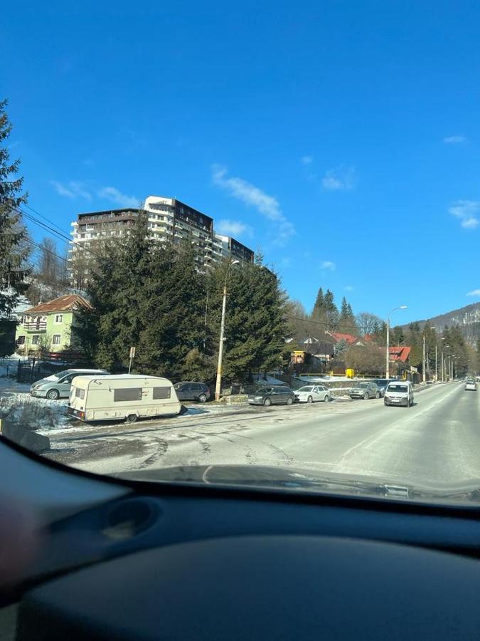 Coca Apart Mountain View Σινάια Εξωτερικό φωτογραφία