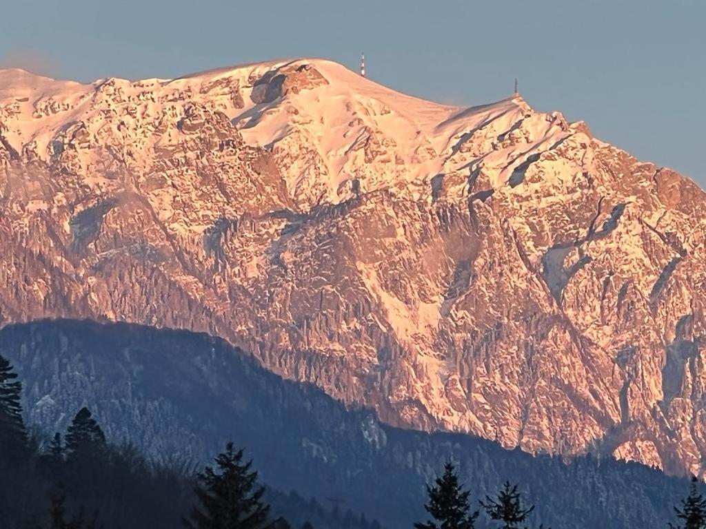 Coca Apart Mountain View Σινάια Εξωτερικό φωτογραφία
