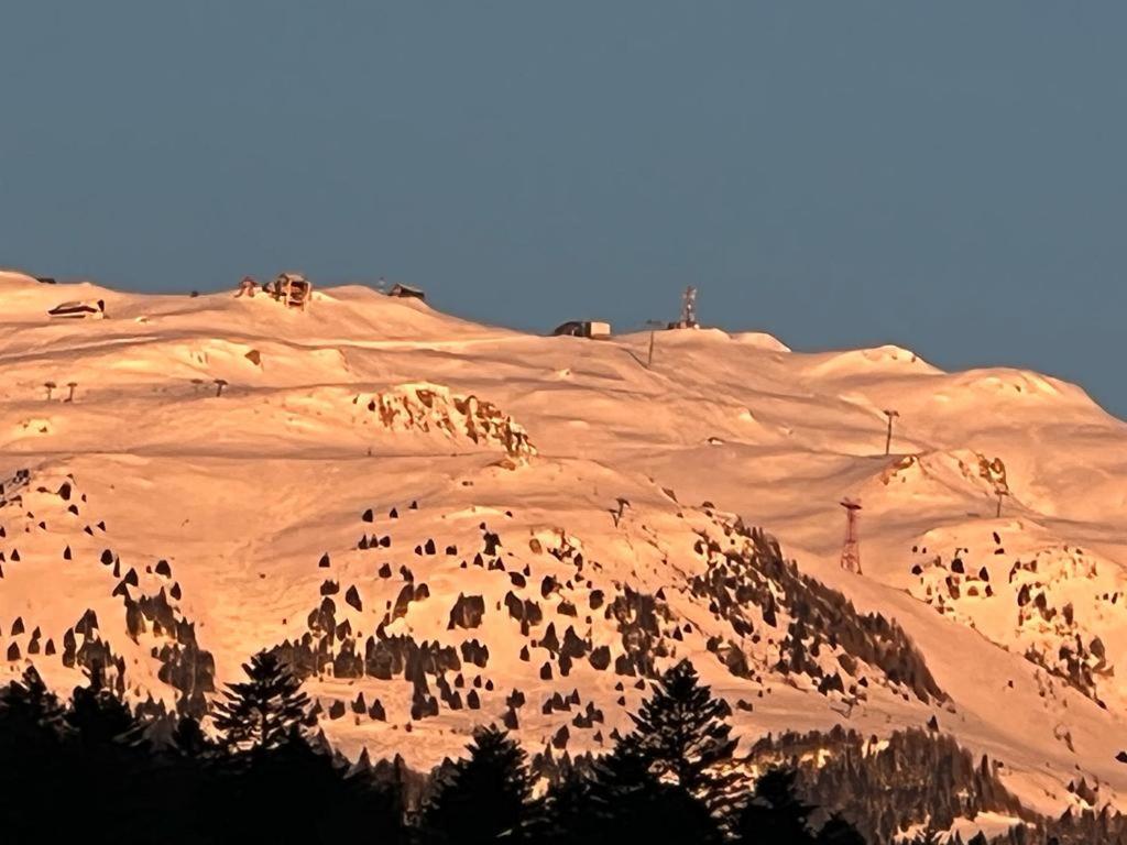 Coca Apart Mountain View Σινάια Εξωτερικό φωτογραφία