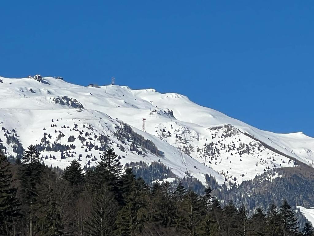 Coca Apart Mountain View Σινάια Εξωτερικό φωτογραφία