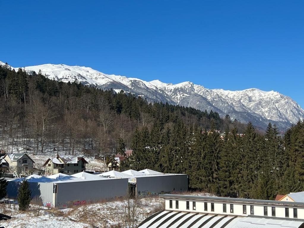 Coca Apart Mountain View Σινάια Εξωτερικό φωτογραφία